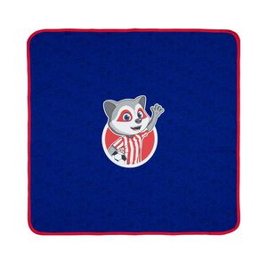 Indy swaddle blanket